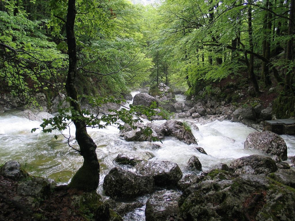 Riviertjes in Slovenië